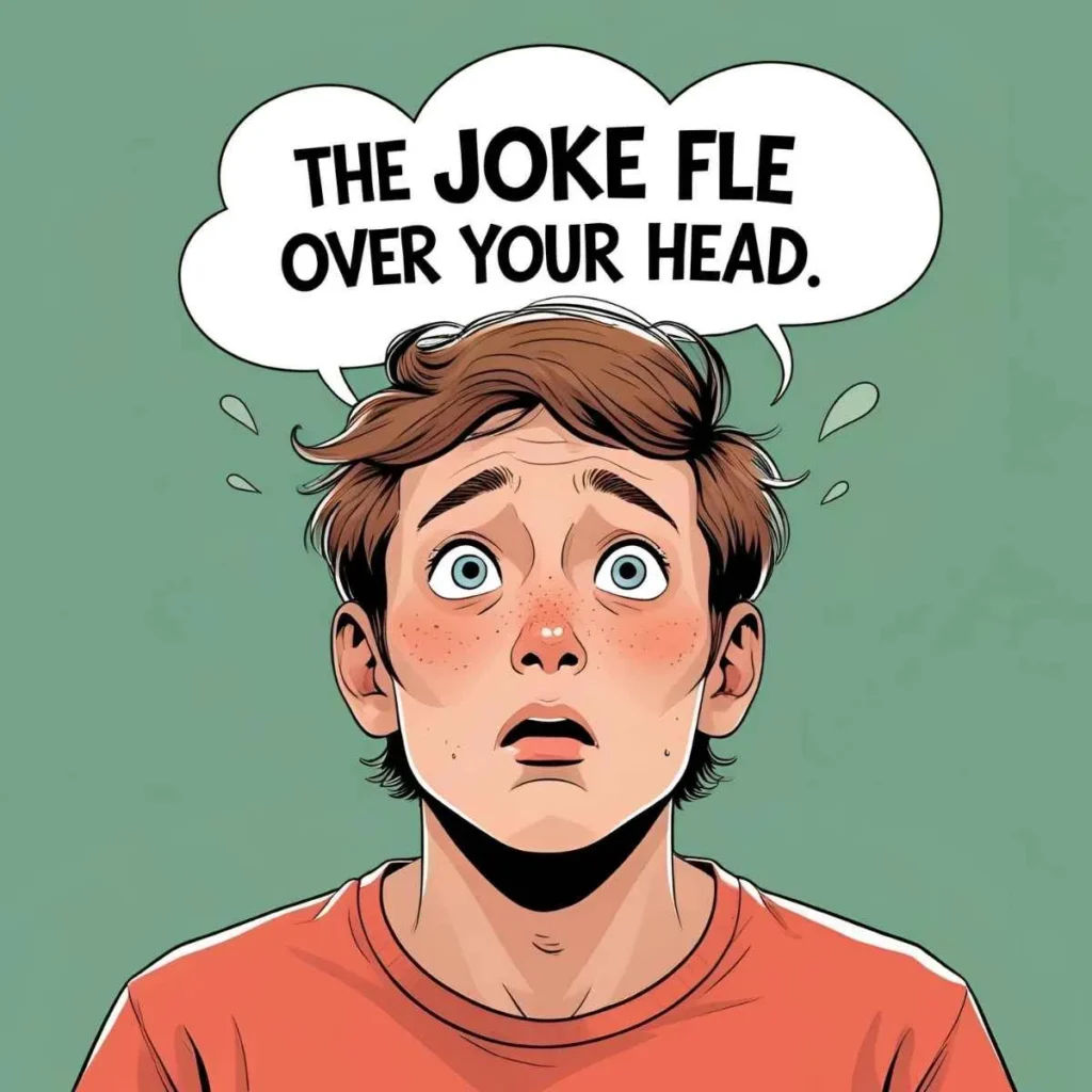 The Joke Flew Over Your Head Meaning