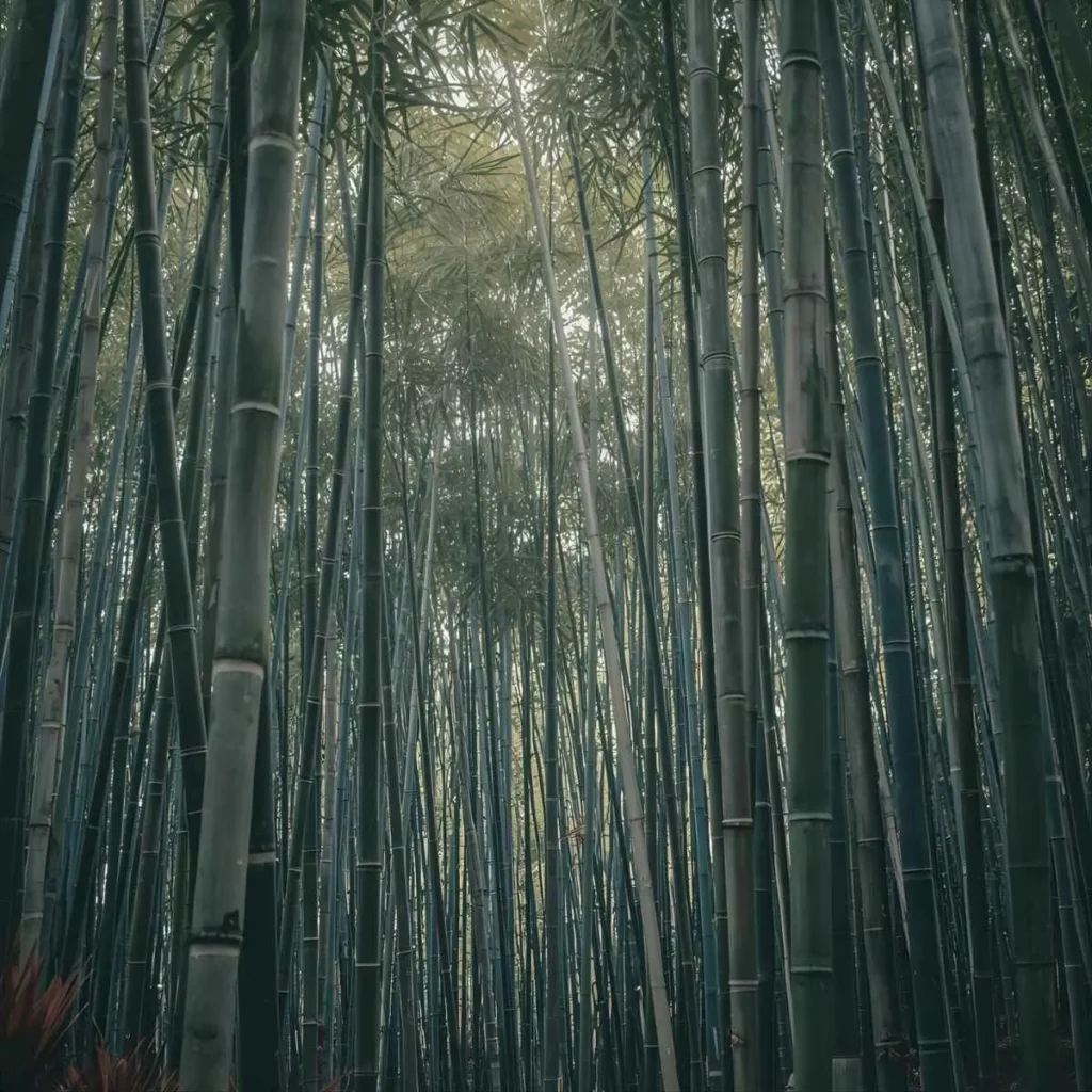 Bamboo Garden Puns