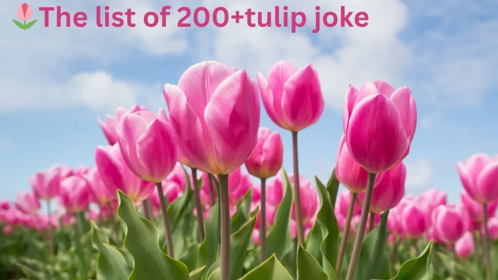 200+ Tulip Jokes That’ll Petal Your Funny Bone