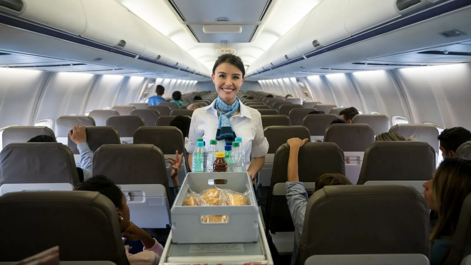 You are currently viewing ✈️550+Hilarious Airplane Food Joke