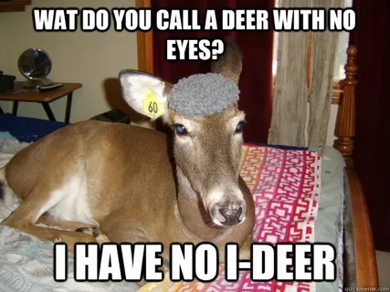 🦌 No Eye Deer Jokes So Funny, You Won’t Believe Your Eyes