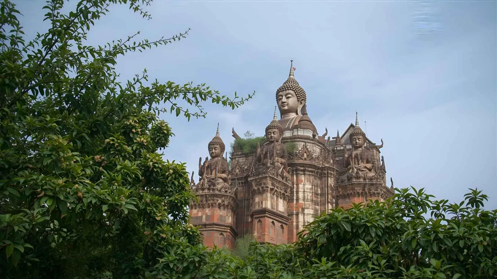 You are currently viewing 250+Buddha Puns That Will Enlighten Your Day