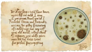 Read more about the article 230+Mold Puns That’ll Spread Faster Than You Think<p class="post-updated-date">🕓 <span class="updated-label">Last updated on</span> <time datetime="2025-10-26T07:52:17+00:00">October 26, 2025</time></p><script type="application/ld+json">
        {
          "@context": "https://schema.org",
          "@type": "BlogPosting",
          "mainEntityOfPage": {
            "@type": "WebPage",
            "@id": "https://jokesplanets.com/mold-puns/"
          },
          "datePublished": "2025-10-26T07:52:12+00:00",
          "dateModified": "2025-10-26T07:52:17+00:00"
        }
        </script>