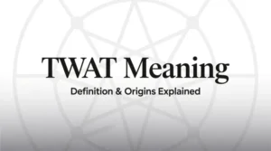 Read more about the article TWAT Meaning Explained: Full Guide 💬
