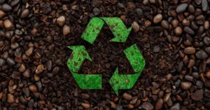 Read more about the article What Does Biodegradable Mean? ♻️