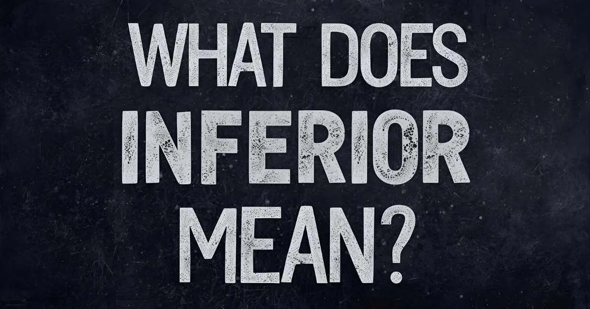 Read more about the article What Does Inferior Mean in Text? 💬 Full Explanation